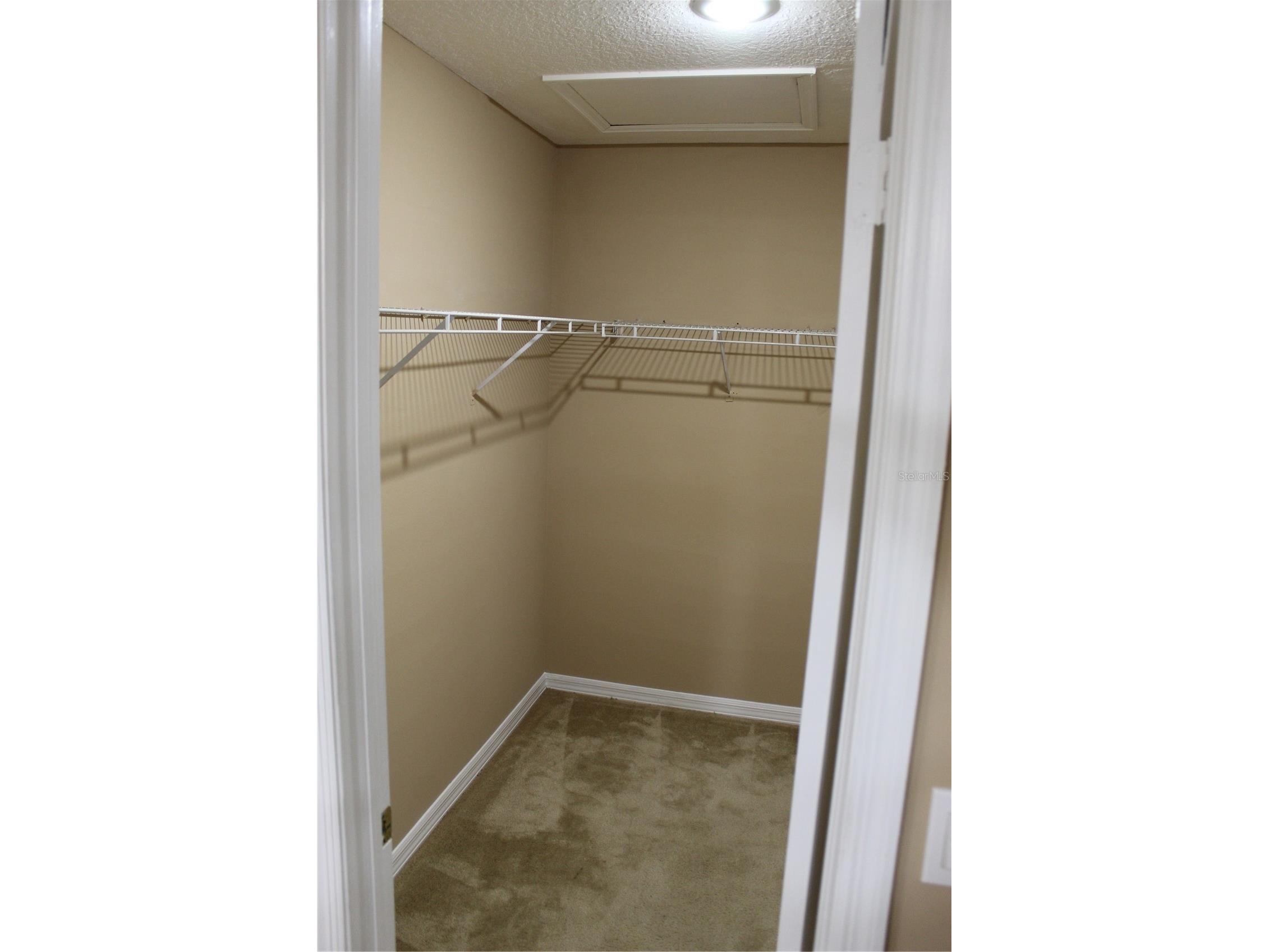 11111 Bramblebrush Street Tampa FL 33624 TB8479798 image14