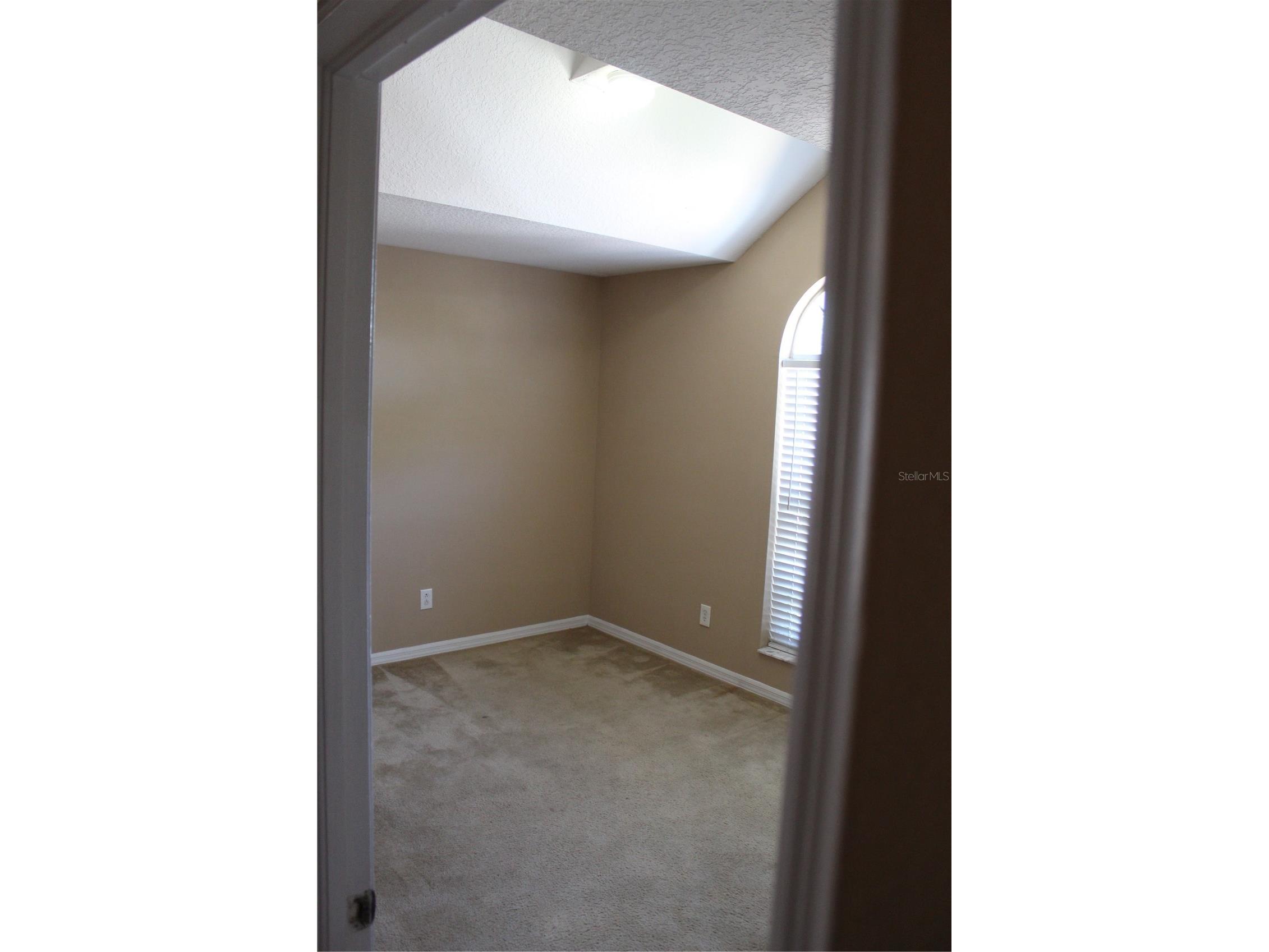 11111 Bramblebrush Street Tampa FL 33624 TB8479798 image9