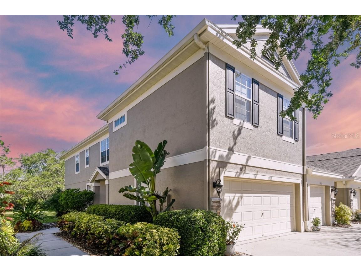 11111 Windsor Place Circle Tampa FL 33626 U8195063 image1