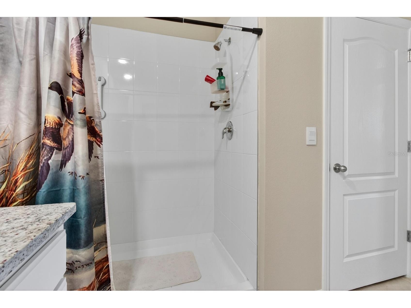11112 Amber Ridge Drive Zellwood FL 32798 O6407973 image31