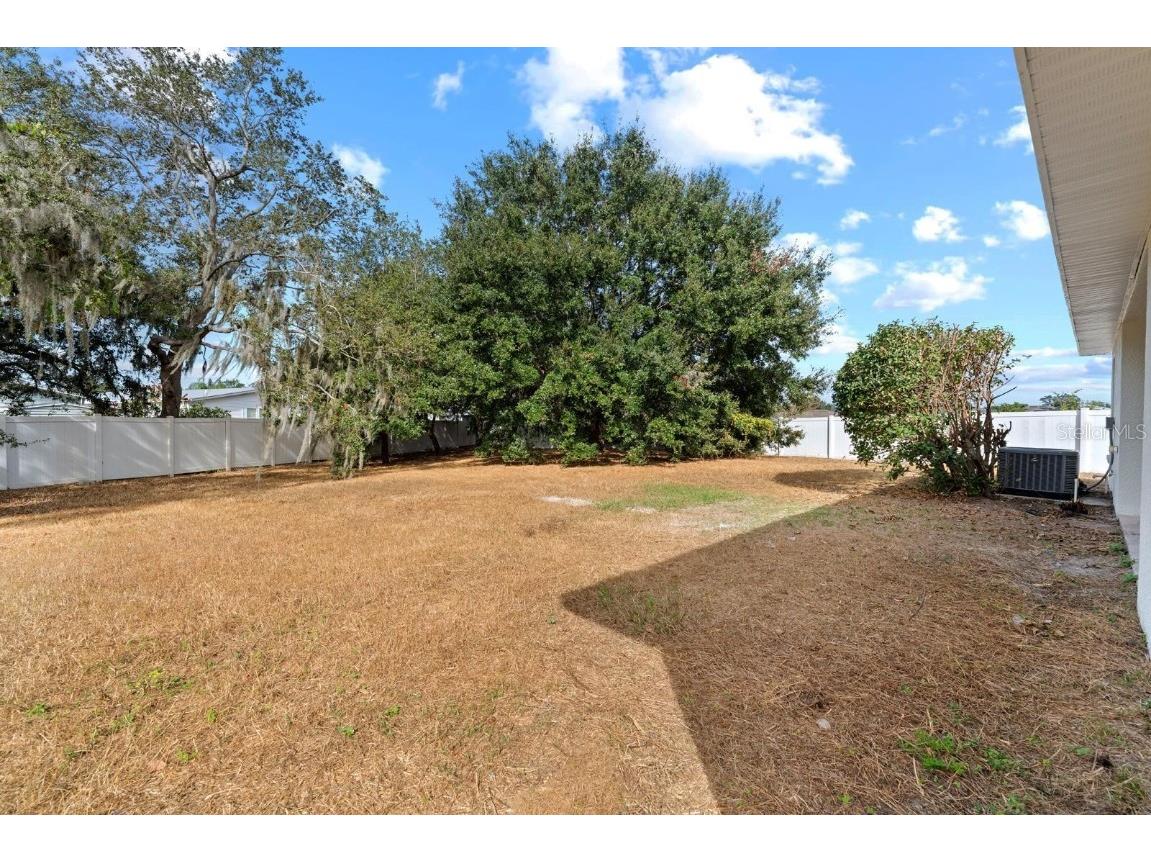 11112 Goldenrod Fern Drive Riverview FL 33569 TB8453512 image25