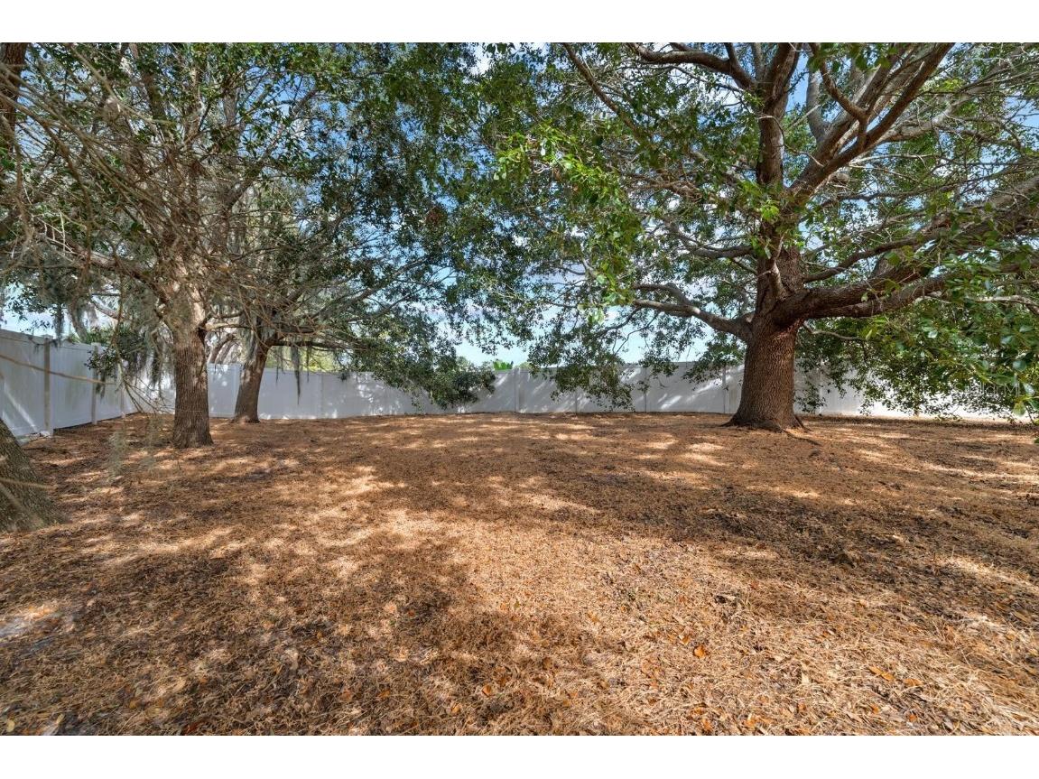 11112 Goldenrod Fern Drive Riverview FL 33569 TB8453512 image27