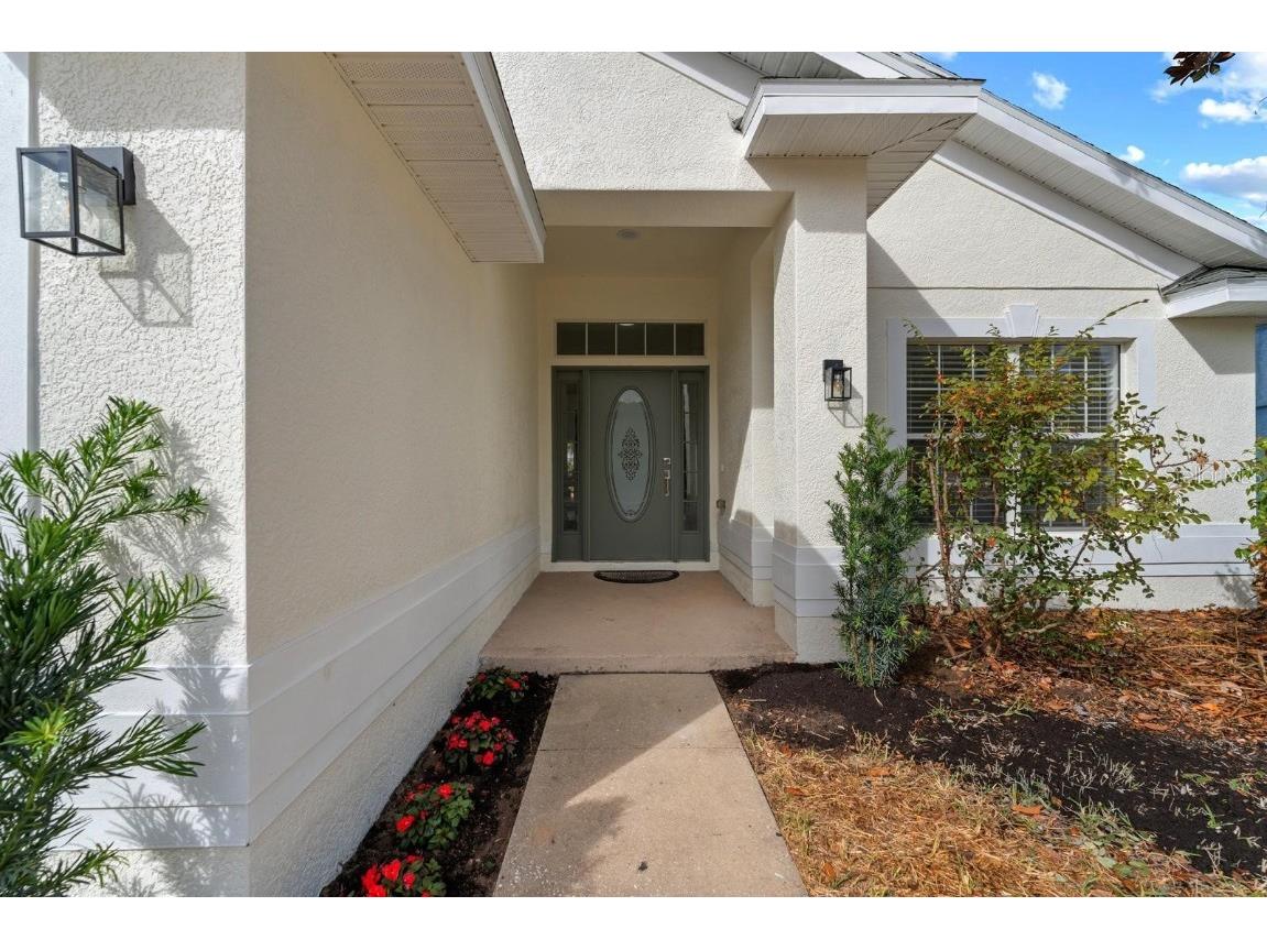 11112 Goldenrod Fern Drive Riverview FL 33569 TB8453512 image4