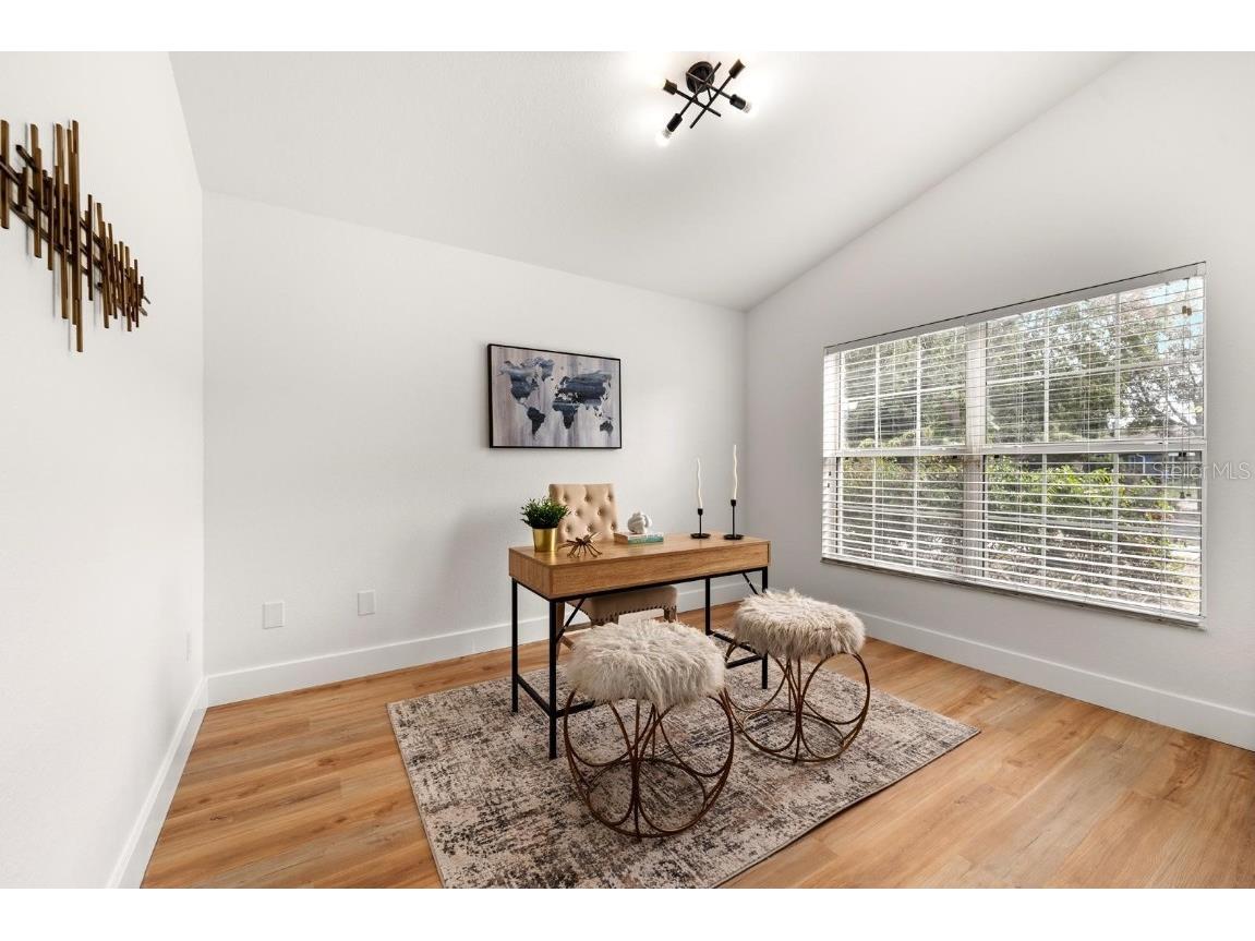 11112 Goldenrod Fern Drive Riverview FL 33569 TB8453512 image5