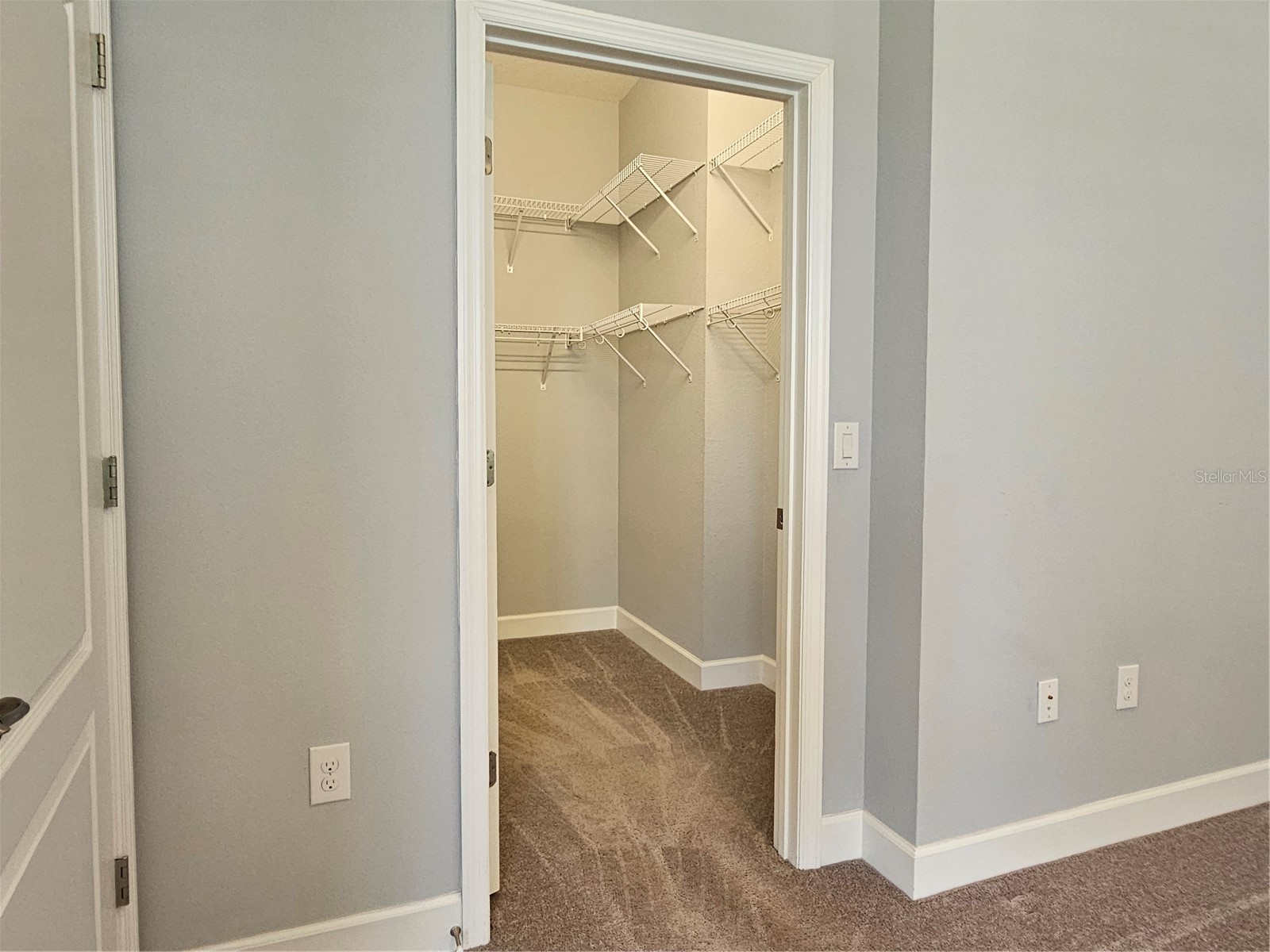 11112 Swansea Street Riverview FL 33578 TB8514937 image17