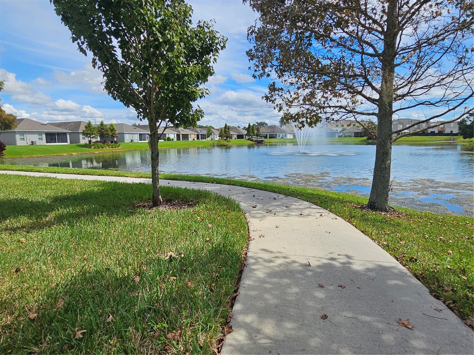 11112 Swansea Street Riverview FL 33578 TB8514937 image32