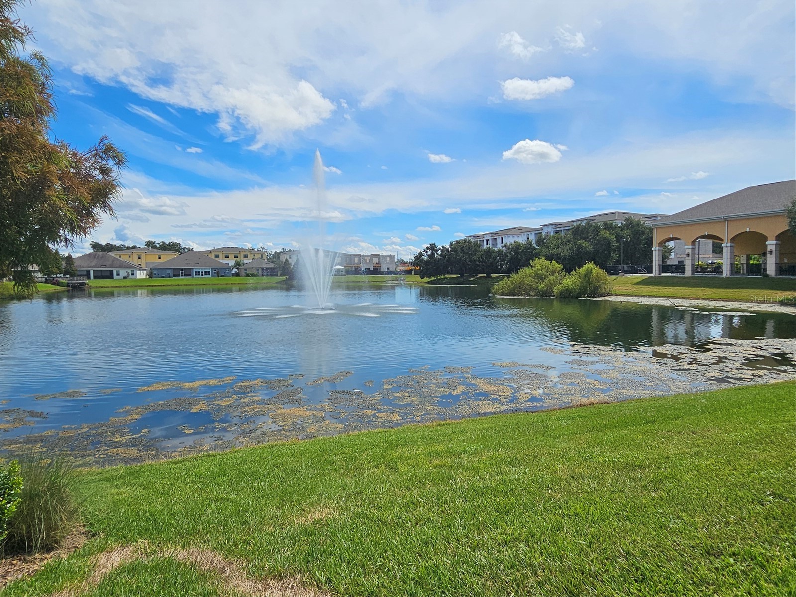 11112 Swansea Street Riverview FL 33578 TB8514937 image33
