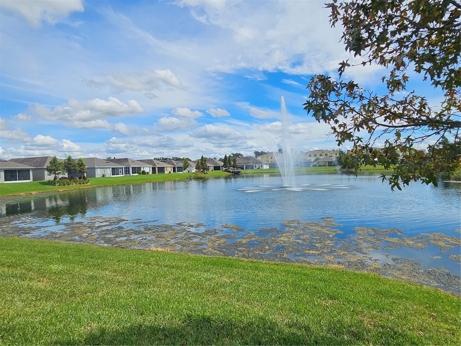 11112 Swansea Street Riverview FL 33578 TB8514937 image34