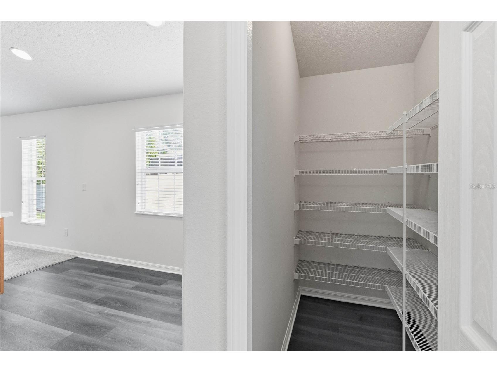 11112 Taeda Drive Orlando FL 32832 O6401911 image20