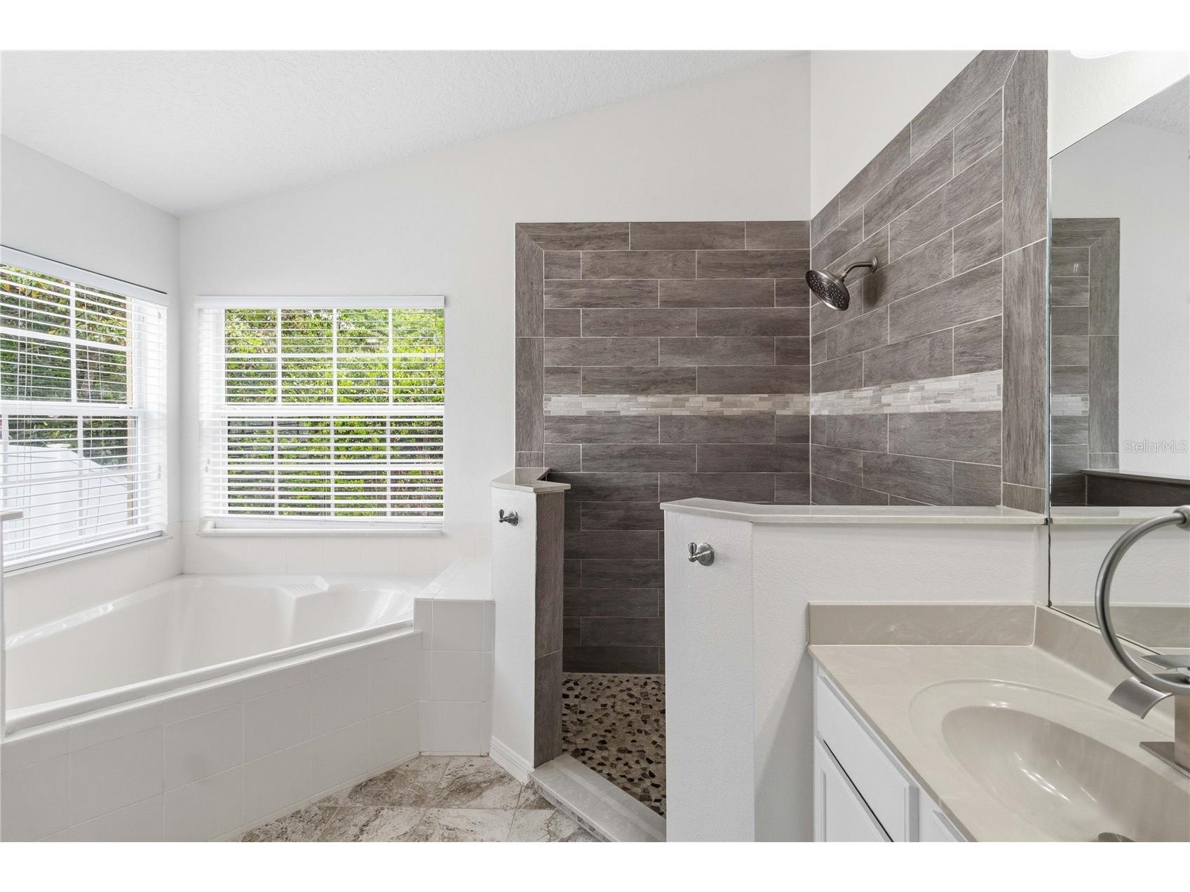 11112 Taeda Drive Orlando FL 32832 O6401911 image25