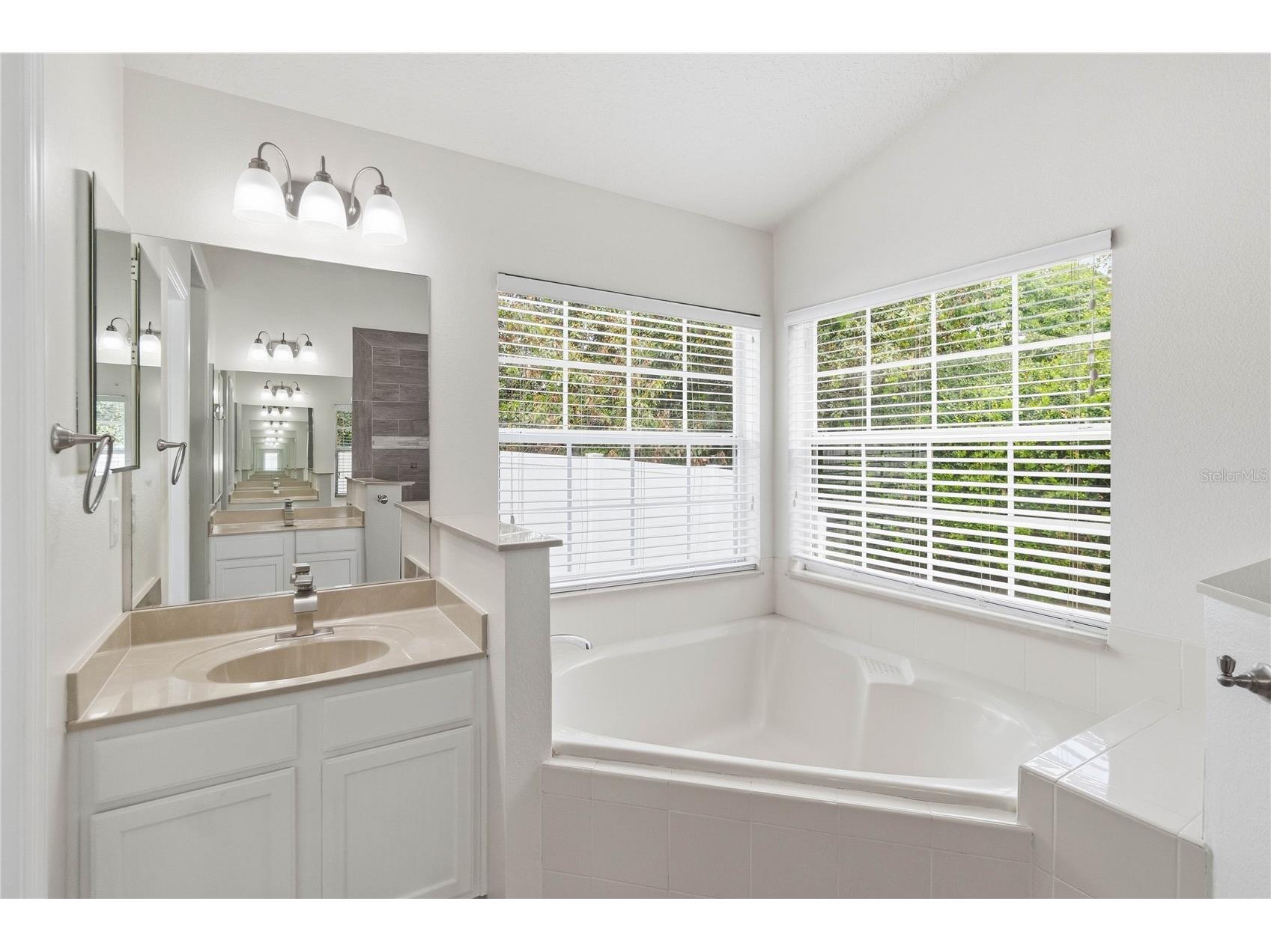 11112 Taeda Drive Orlando FL 32832 O6401911 image26