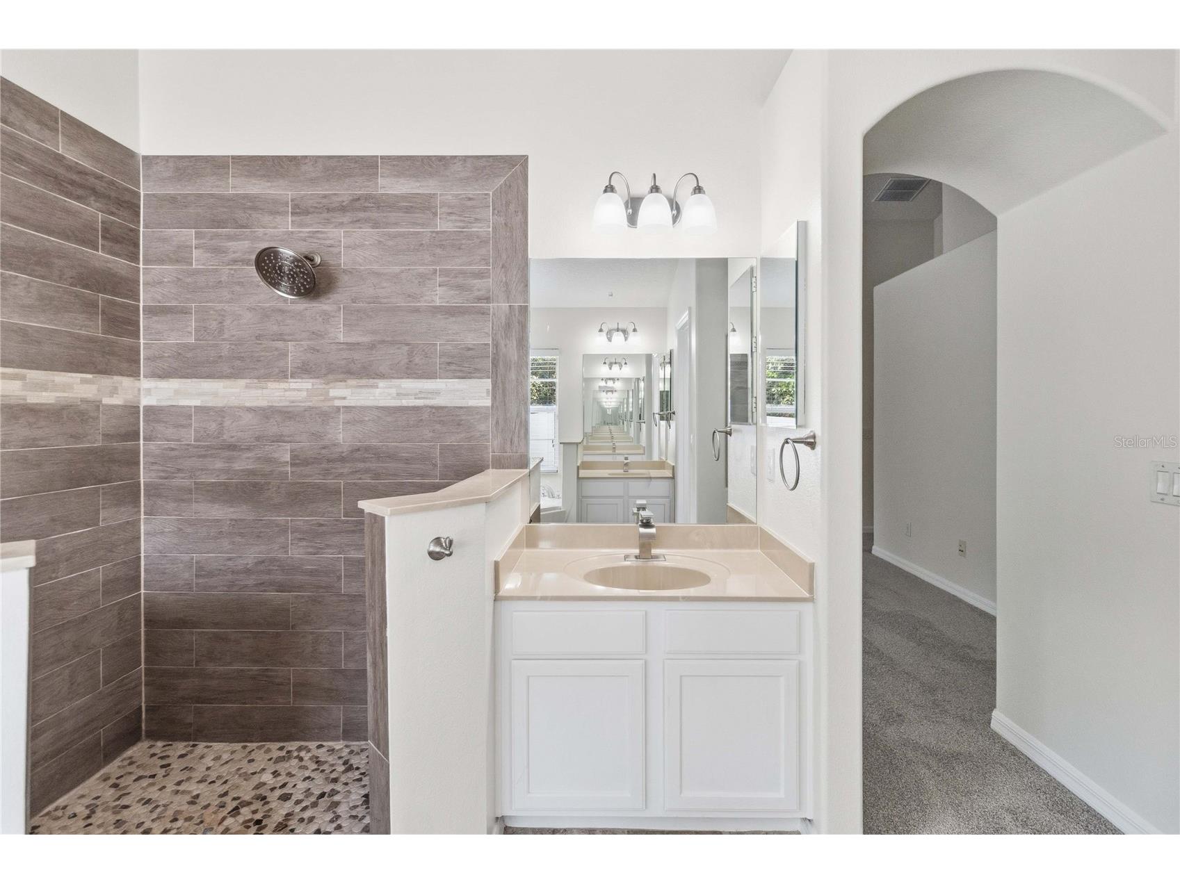11112 Taeda Drive Orlando FL 32832 O6401911 image27