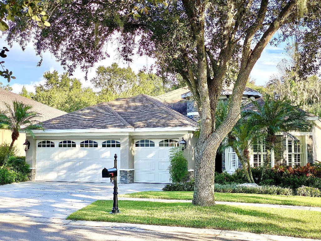 11113 Bridgecreek Drive Riverview FL 33569 T3482637 image1