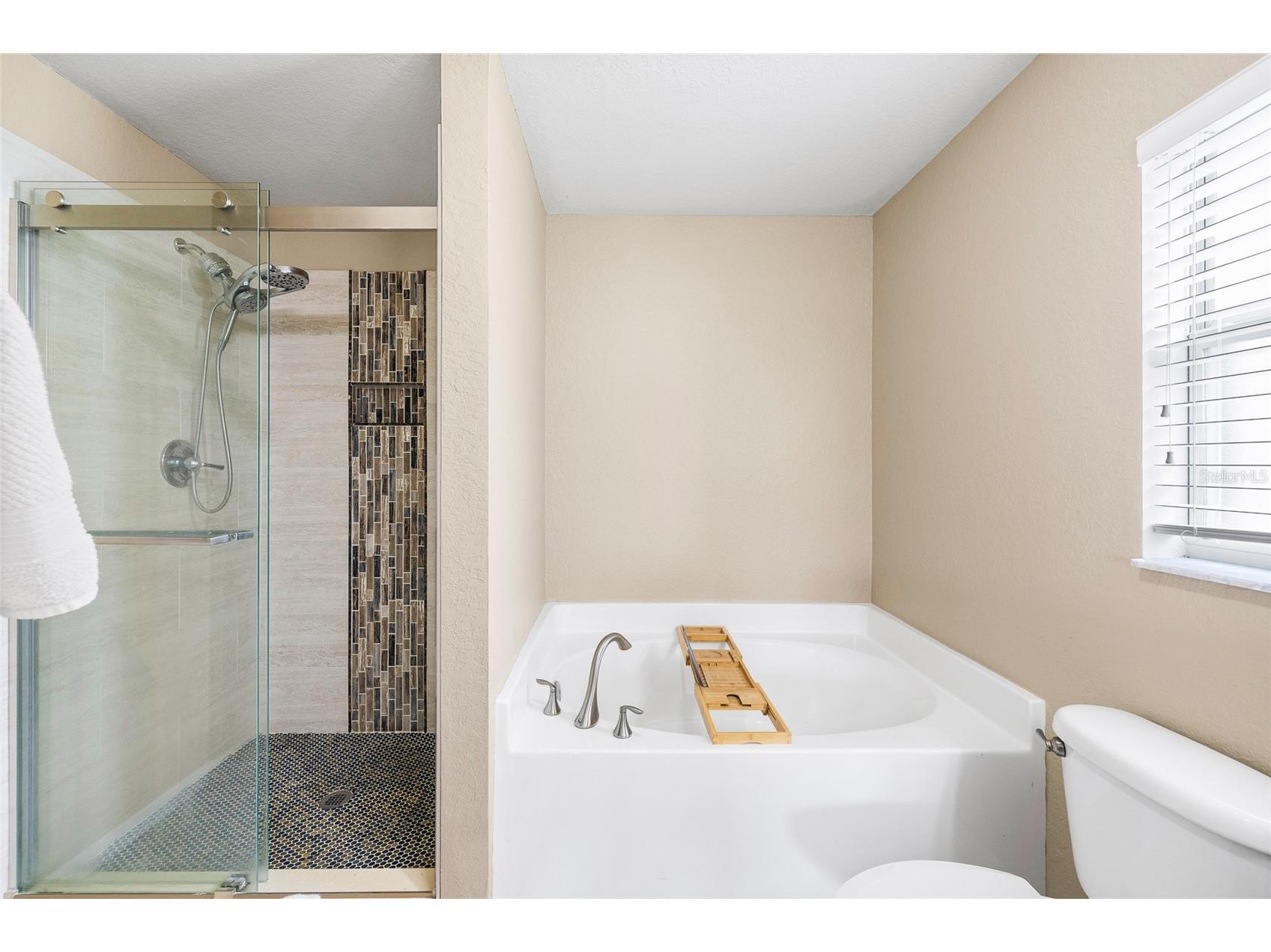 11114 Goldenrod Fern Drive Riverview FL 33569 TB8504523 image20