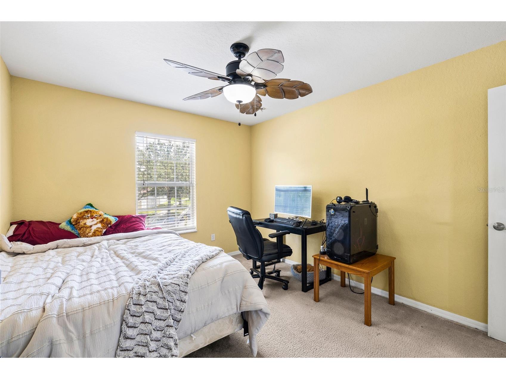 11114 Goldenrod Fern Drive Riverview FL 33569 TB8504523 image25