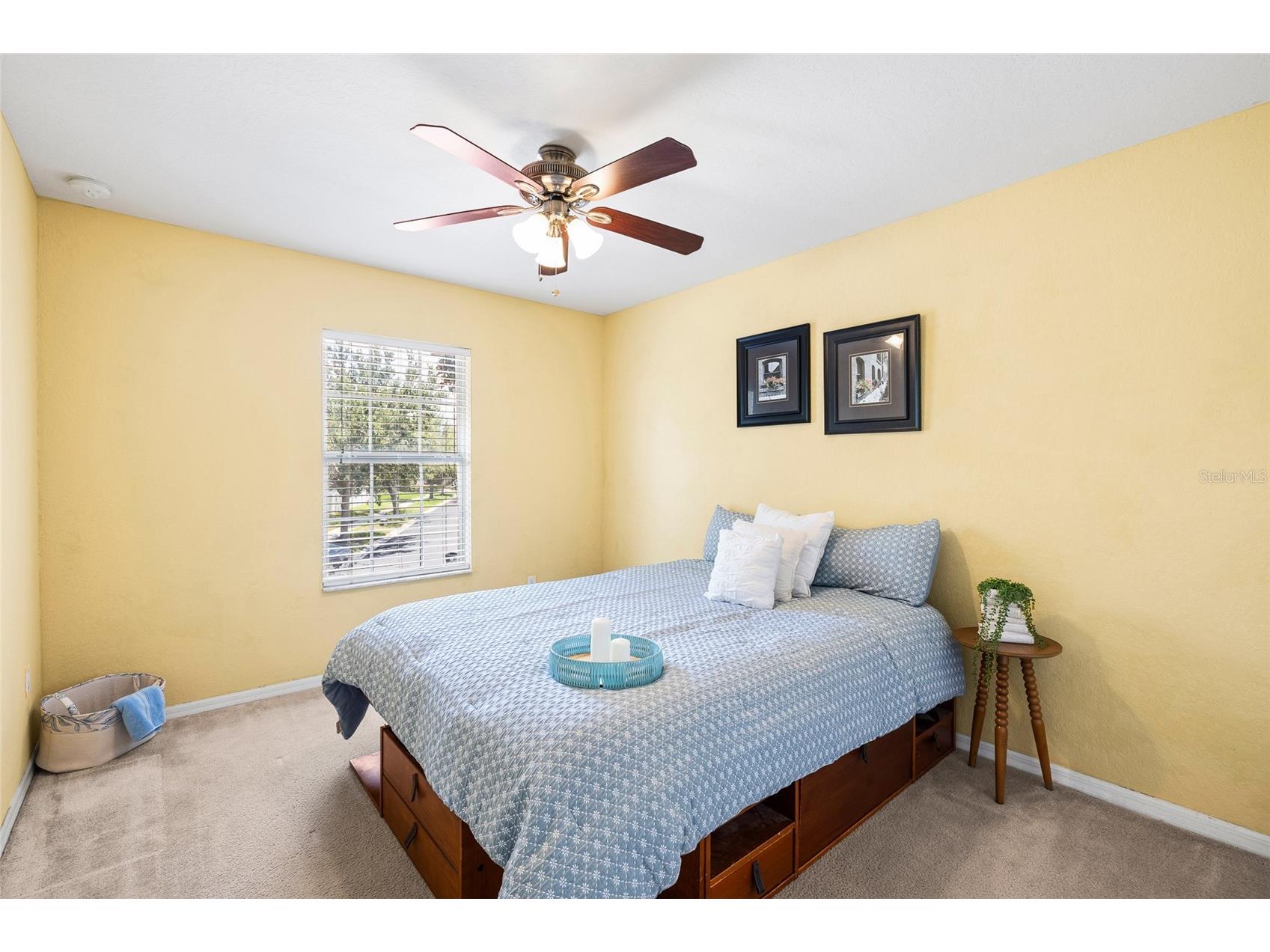 11114 Goldenrod Fern Drive Riverview FL 33569 TB8504523 image26