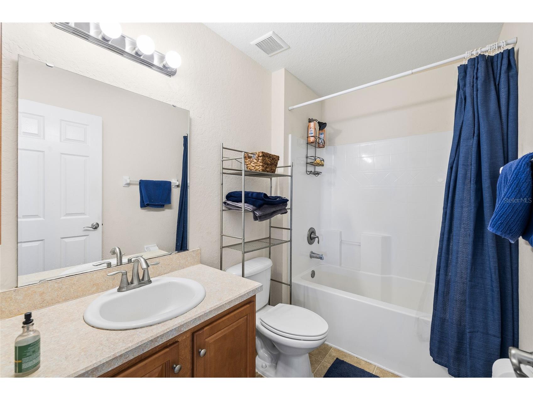 11114 Goldenrod Fern Drive Riverview FL 33569 TB8504523 image28