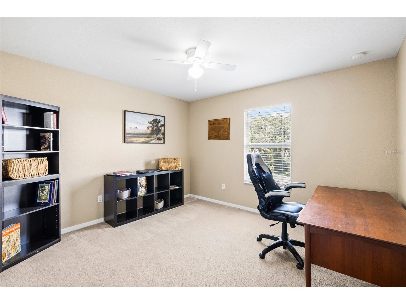 11114 Goldenrod Fern Drive Riverview FL 33569 TB8504523 image30