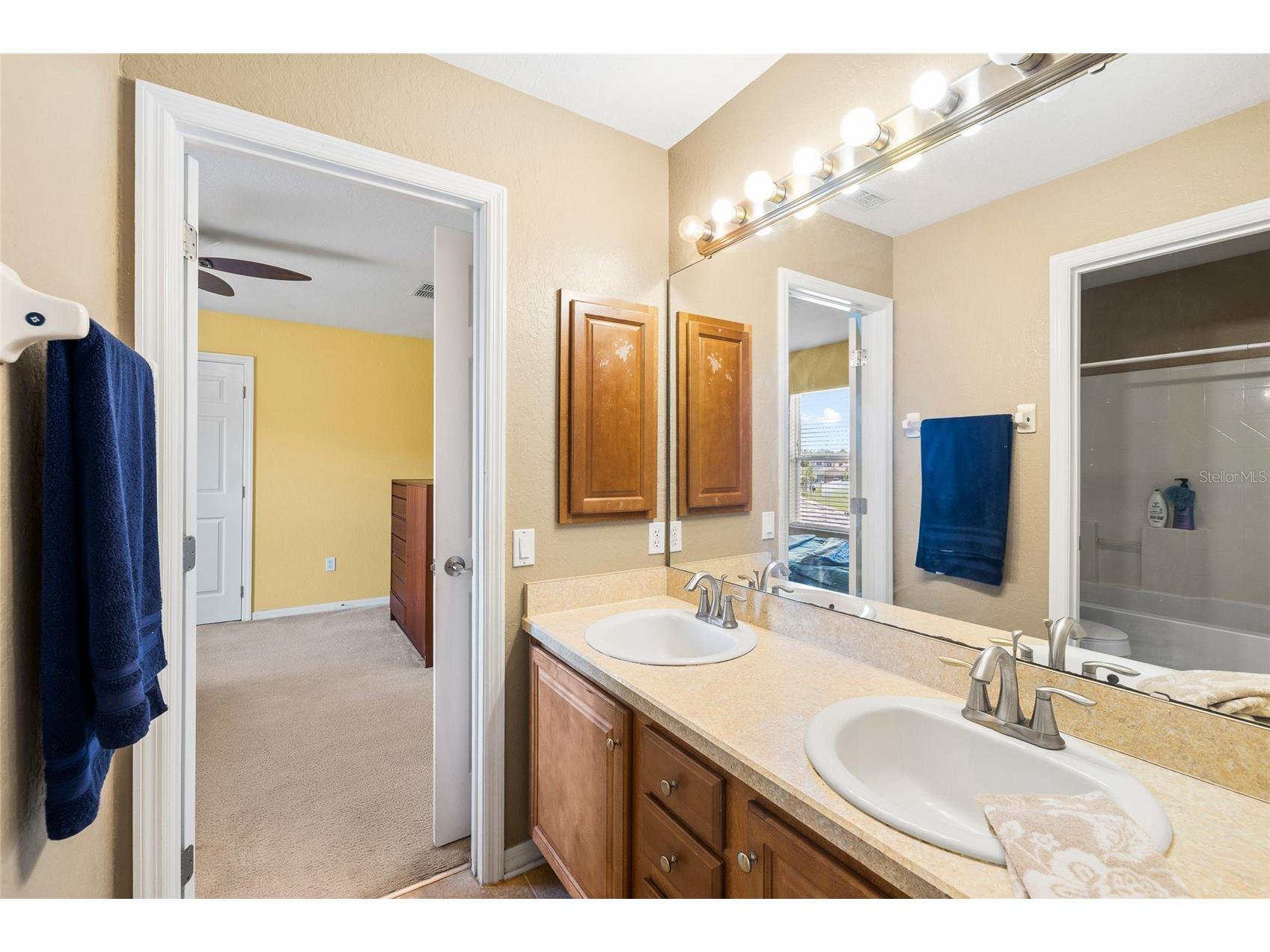 11114 Goldenrod Fern Drive Riverview FL 33569 TB8504523 image32
