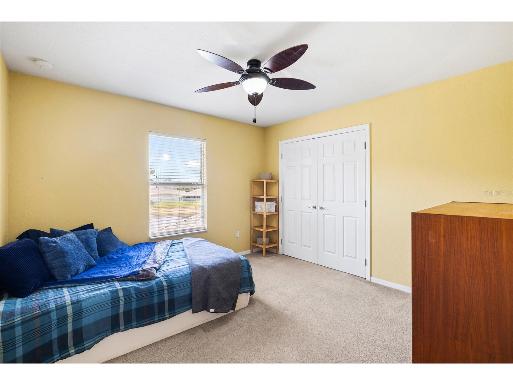 11114 Goldenrod Fern Drive Riverview FL 33569 TB8504523 image34