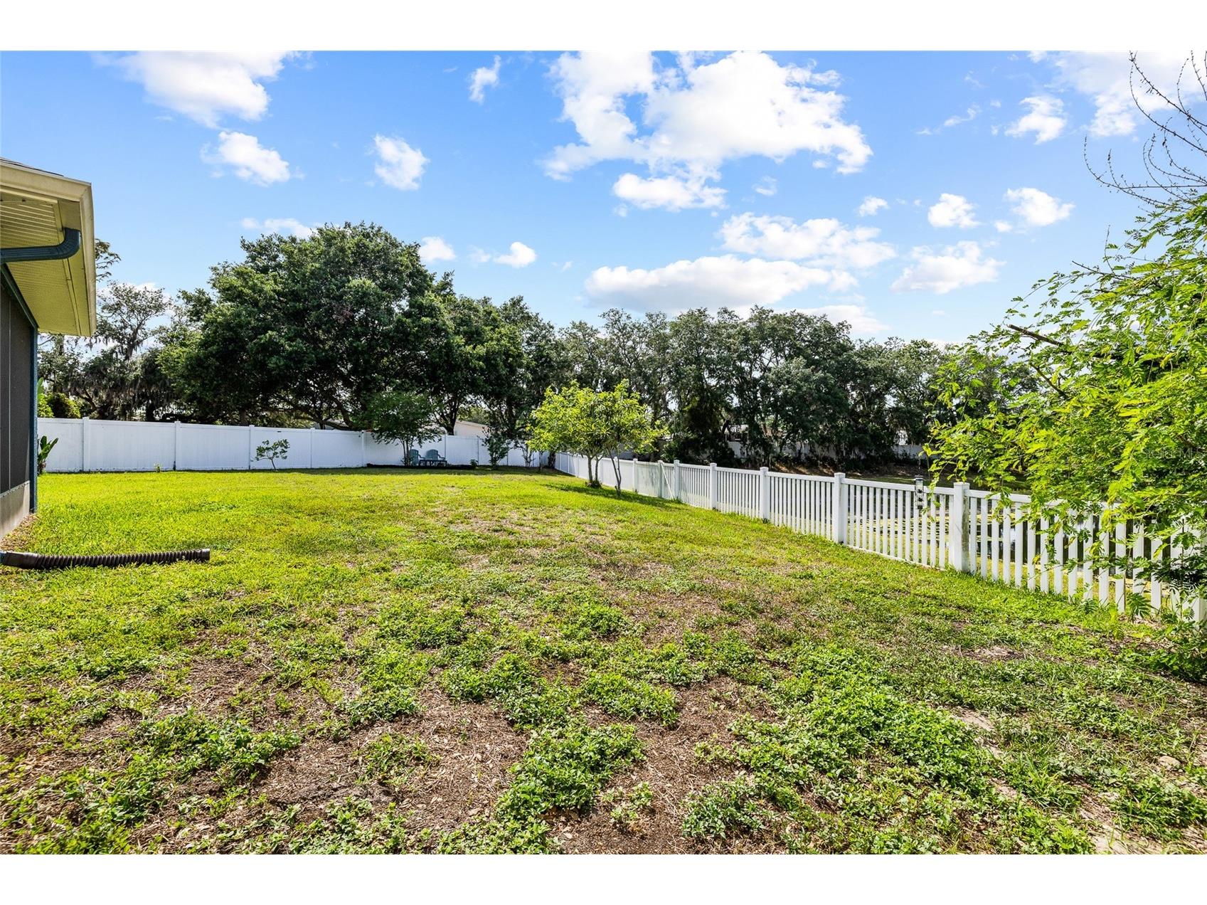11114 Goldenrod Fern Drive Riverview FL 33569 TB8504523 image49