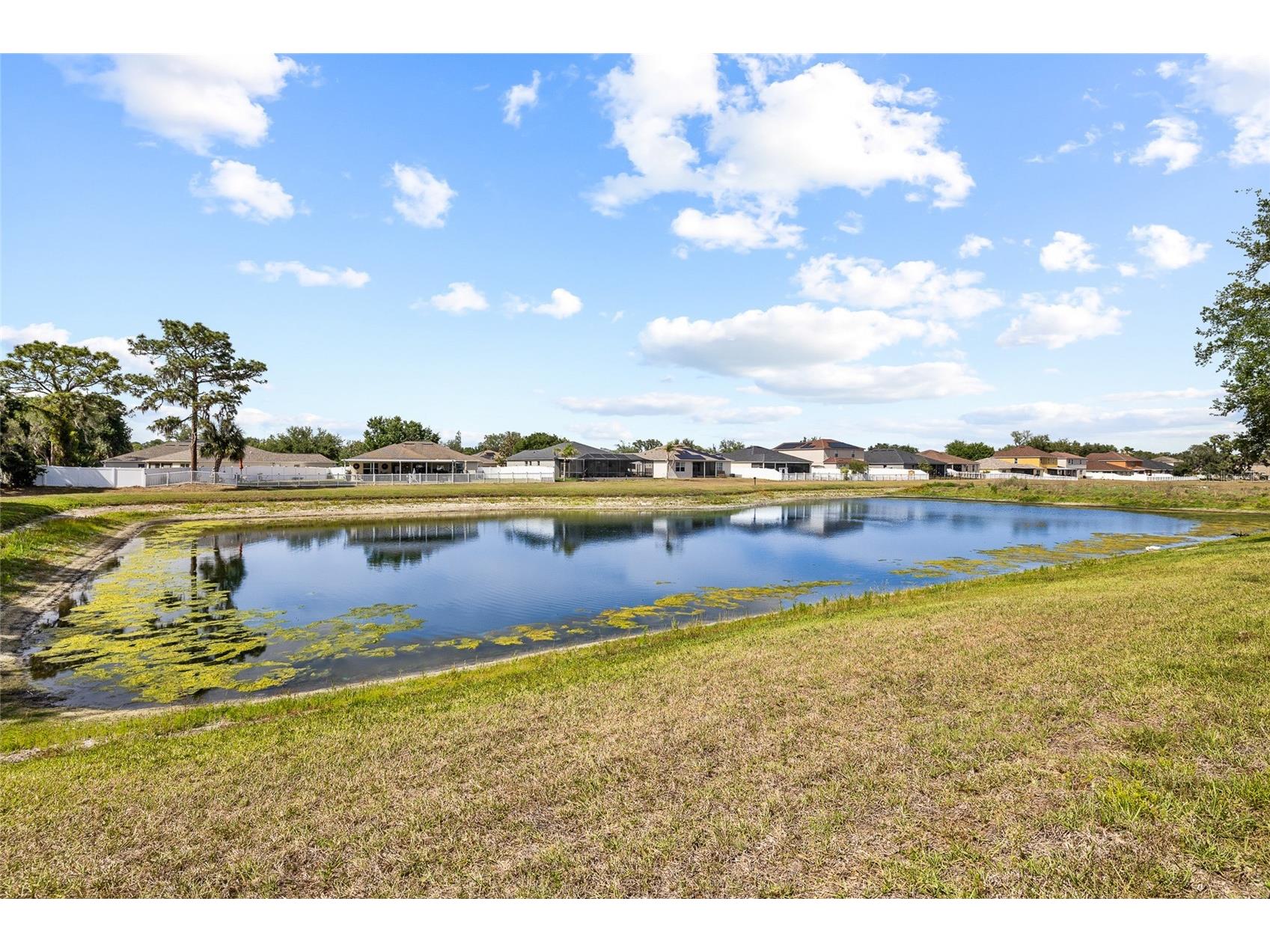 11114 Goldenrod Fern Drive Riverview FL 33569 TB8504523 image53