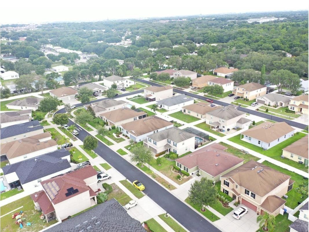 11114 Hartford Fern Drive Riverview FL 33569 TB8486668 image23