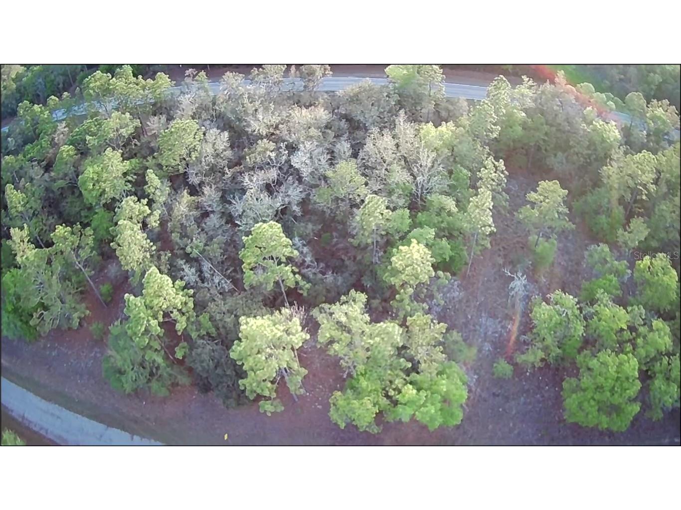 11114 N Vesta Point Citrus Springs FL 34434 OM654654 image1