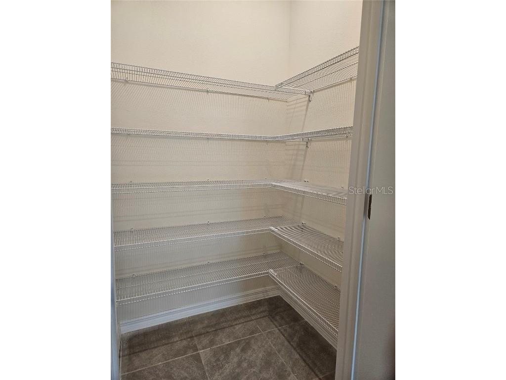 11115 Crescent Deer Drive Land O Lakes FL 34638 TB8434908 image13