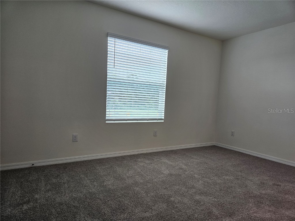 11115 Crescent Deer Drive Land O Lakes FL 34638 TB8434908 image17