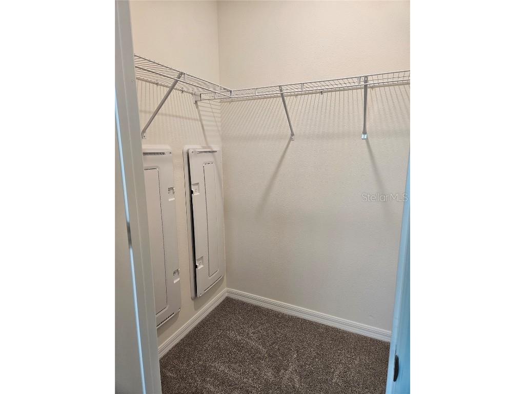 11115 Crescent Deer Drive Land O Lakes FL 34638 TB8434908 image18