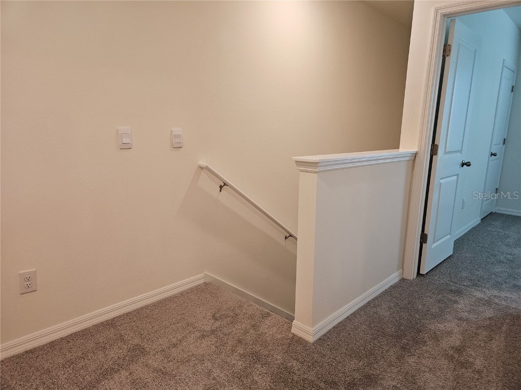 11115 Crescent Deer Drive Land O Lakes FL 34638 TB8434908 image21