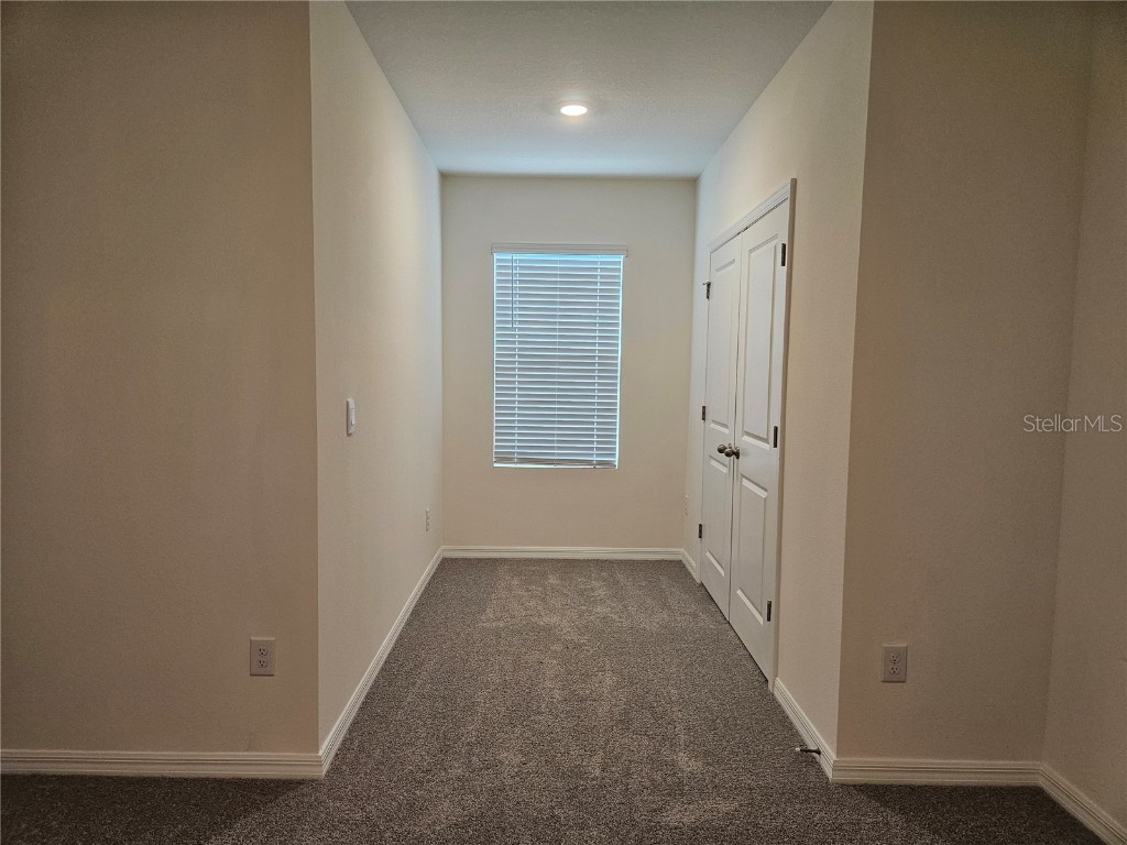 11115 Crescent Deer Drive Land O Lakes FL 34638 TB8434908 image29