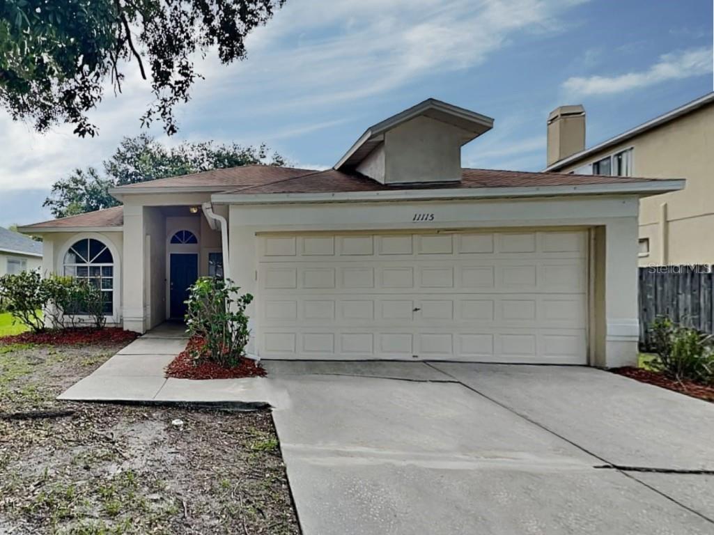 11115 Whittney Chase Drive Riverview FL 33579 T3466414 image1