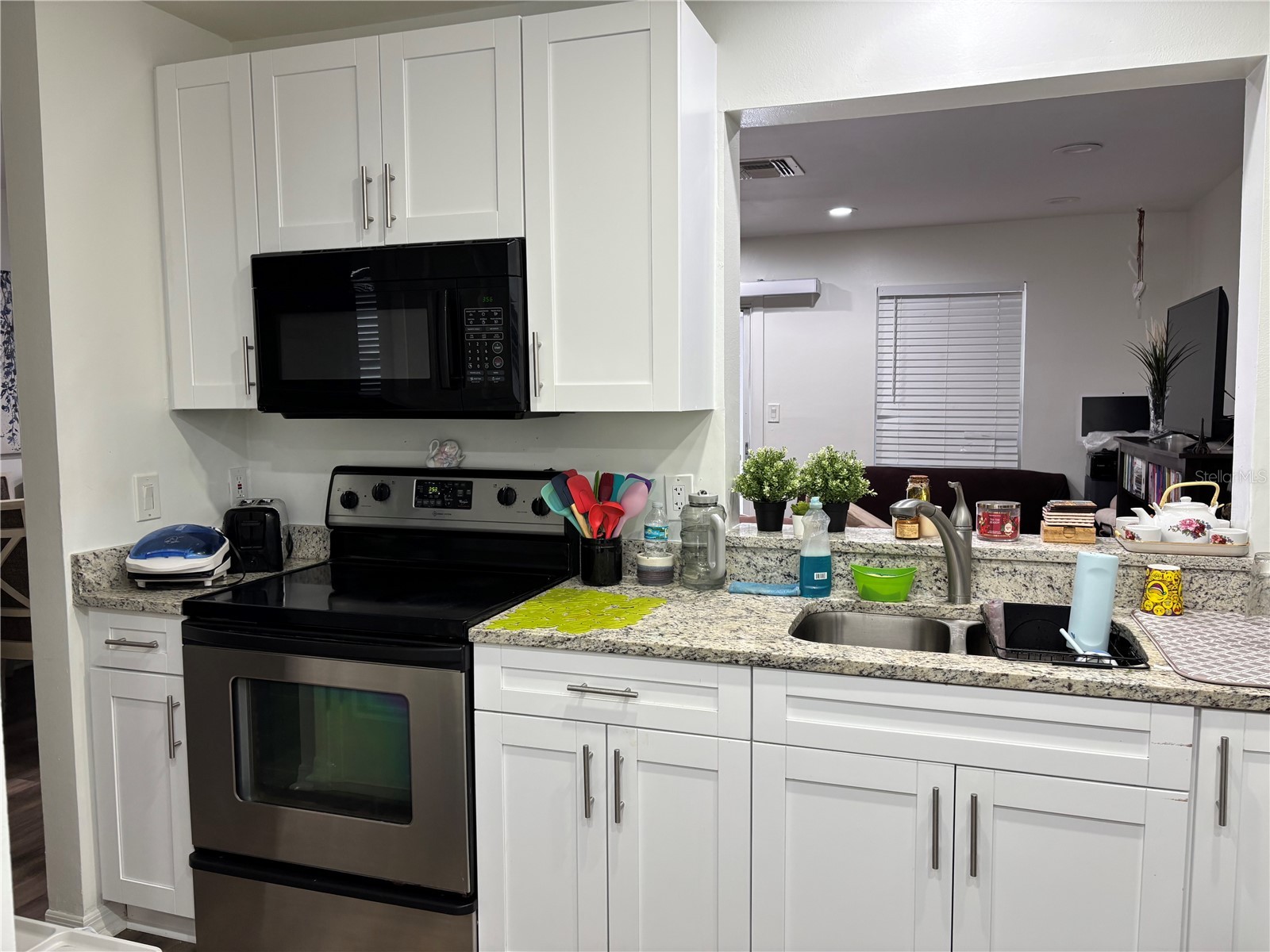 11116 Alderly Orlando FL 32837 O6403662 image6