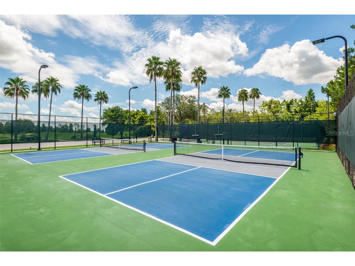 11116 Jenkins Court San Antonio FL 33576 TB8445063 image47