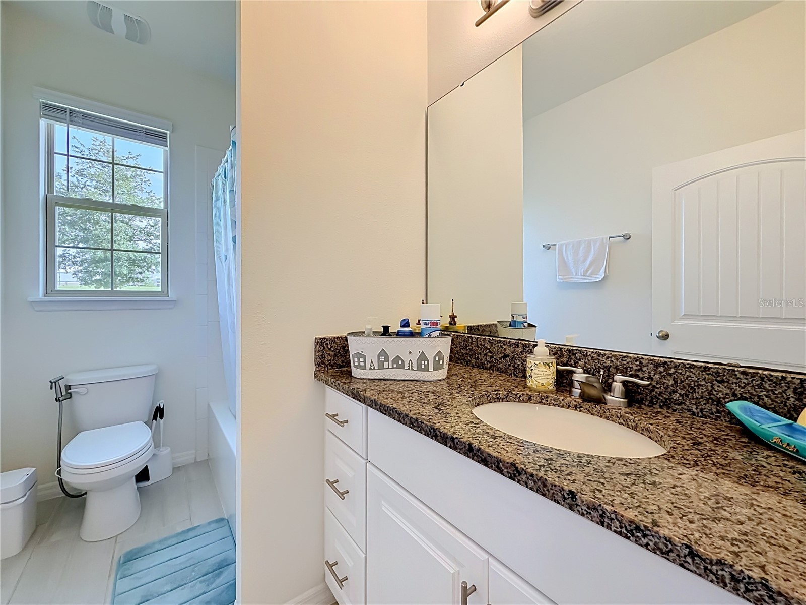 11117 Bostwick Alley Winter Garden FL 34787 O6407552 image10