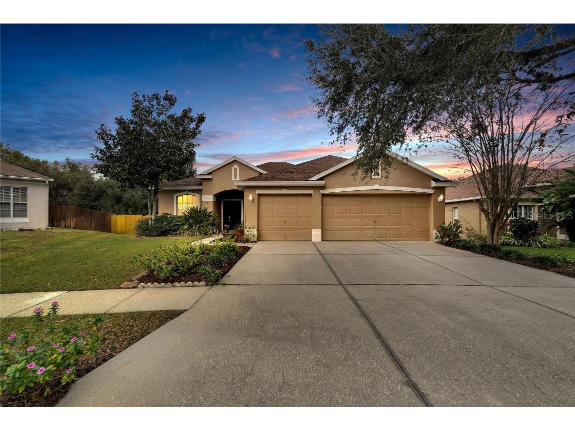 11117 Bridgecreek Drive Riverview FL 33569 T3496308 image1