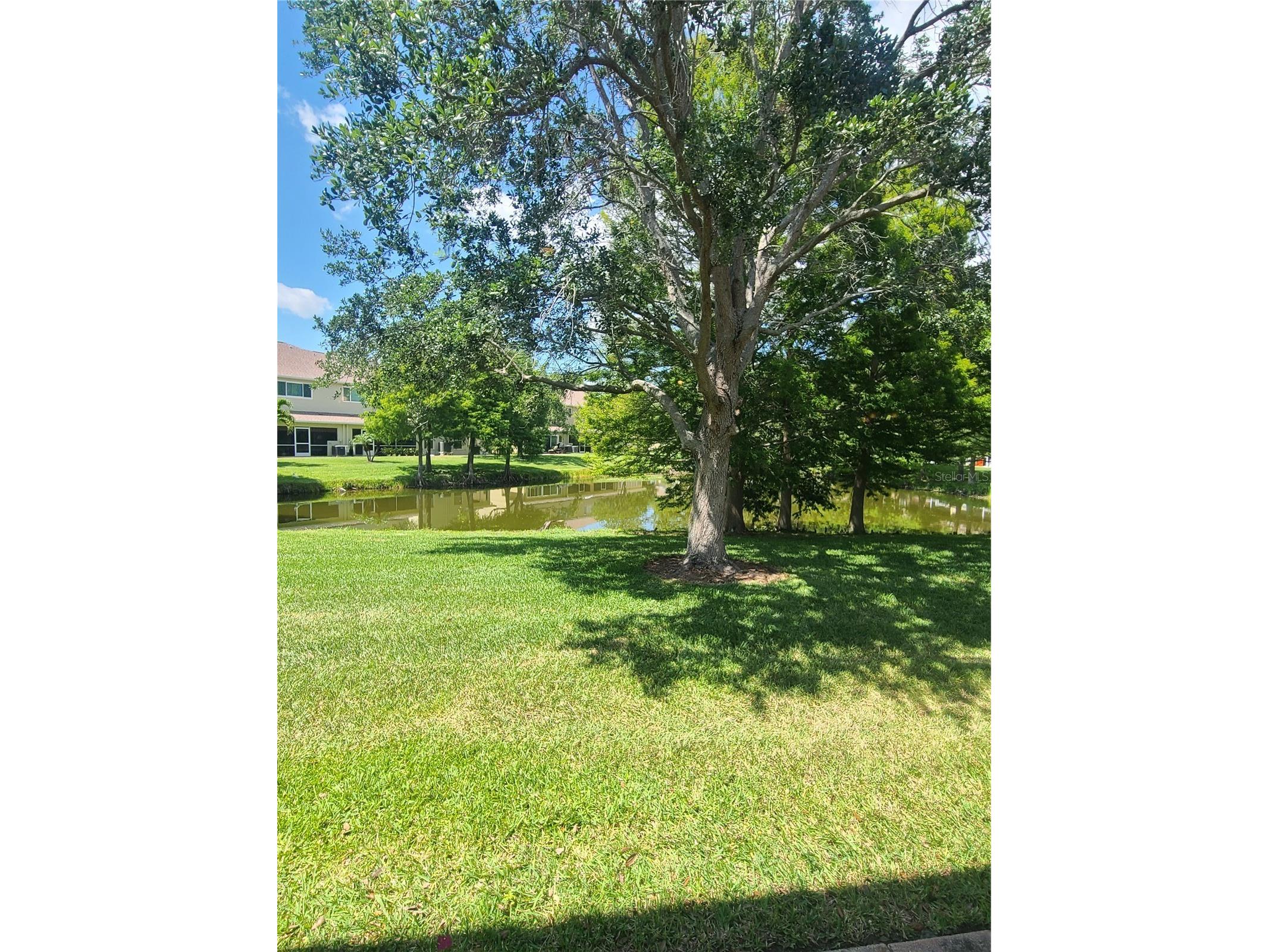 11117 Kapok Grand Circle Madeira Beach FL 33708 TB8463217 image14
