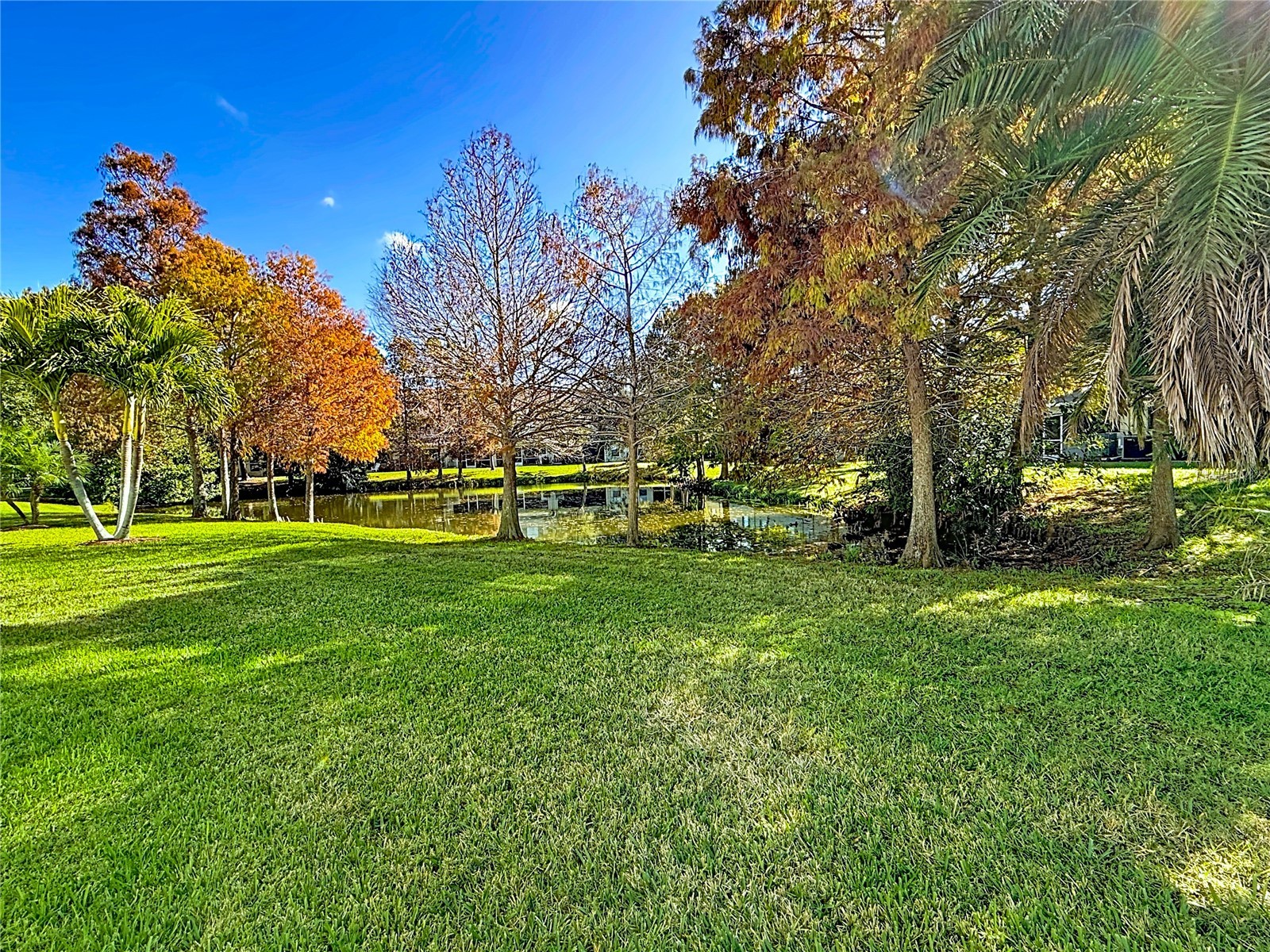 11117 Kapok Grand Circle Madeira Beach FL 33708 TB8463217 image3