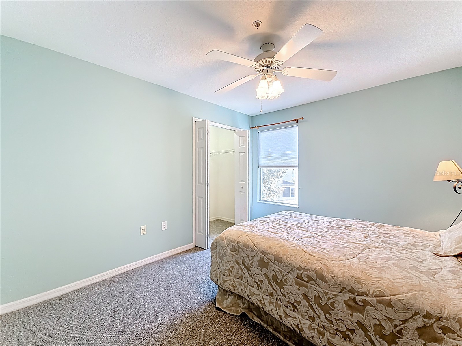 11117 Kapok Grand Circle Madeira Beach FL 33708 TB8463217 image37