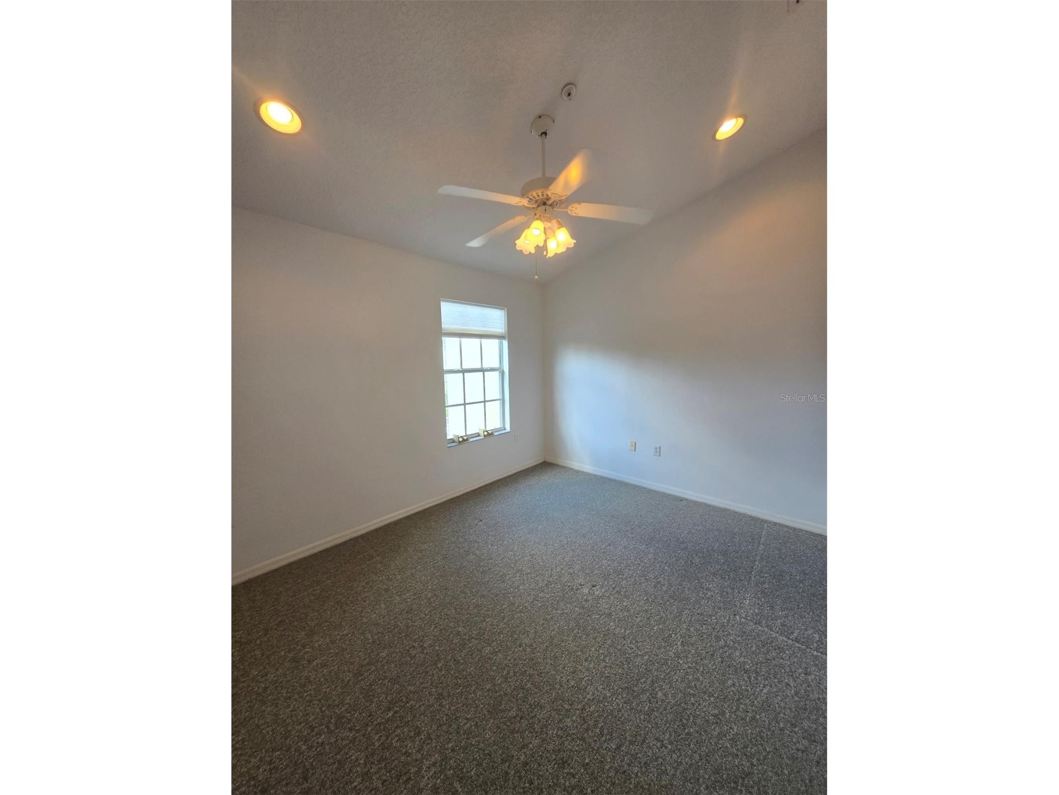 11117 Kapok Grand Circle Madeira Beach FL 33708 TB8463217 image42