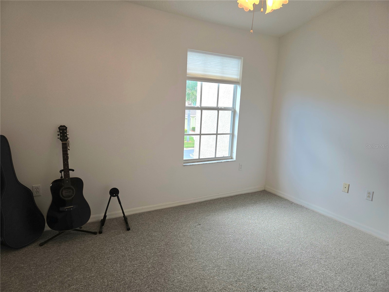 11117 Kapok Grand Circle Madeira Beach FL 33708 TB8463217 image43