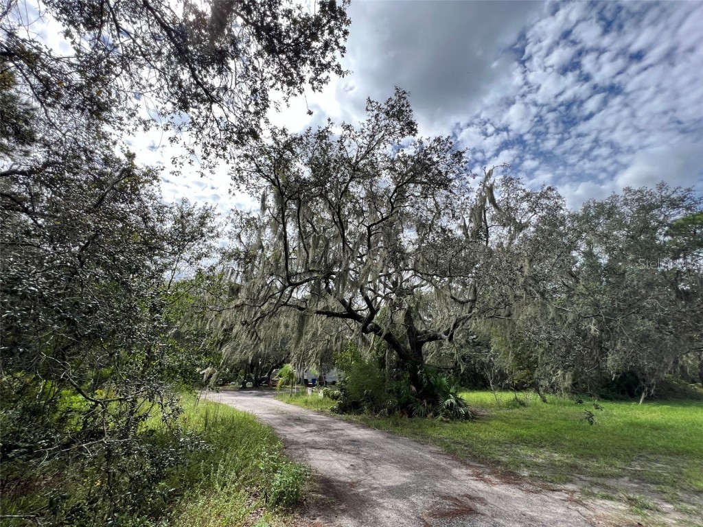 11117 Mcmullen Road Riverview FL 33569 TB8455982 image12