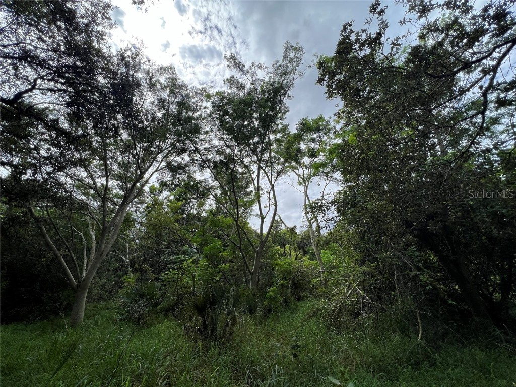 11117 Mcmullen Road Riverview FL 33569 TB8455982 image21