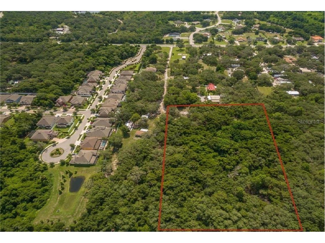 11117 Mcmullen Road Riverview FL 33569 TB8455991 image16