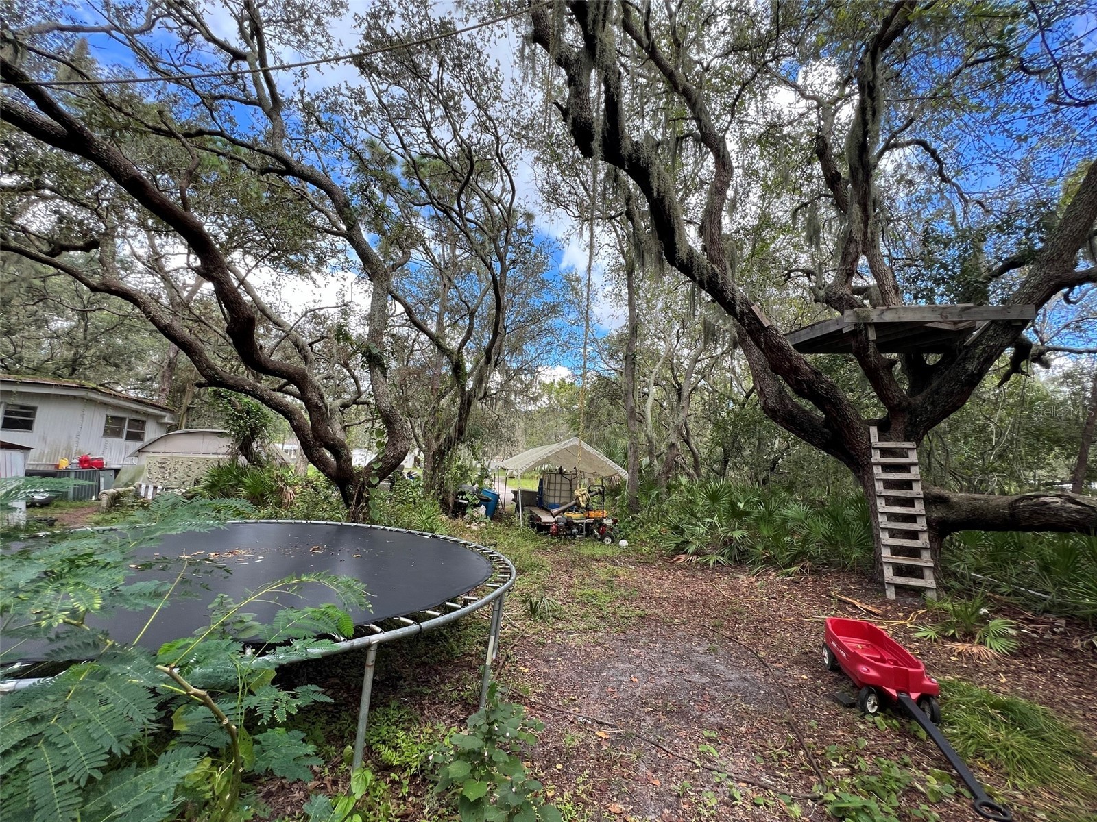 11117 Mcmullen Road Riverview FL 33569 TB8455991 image21