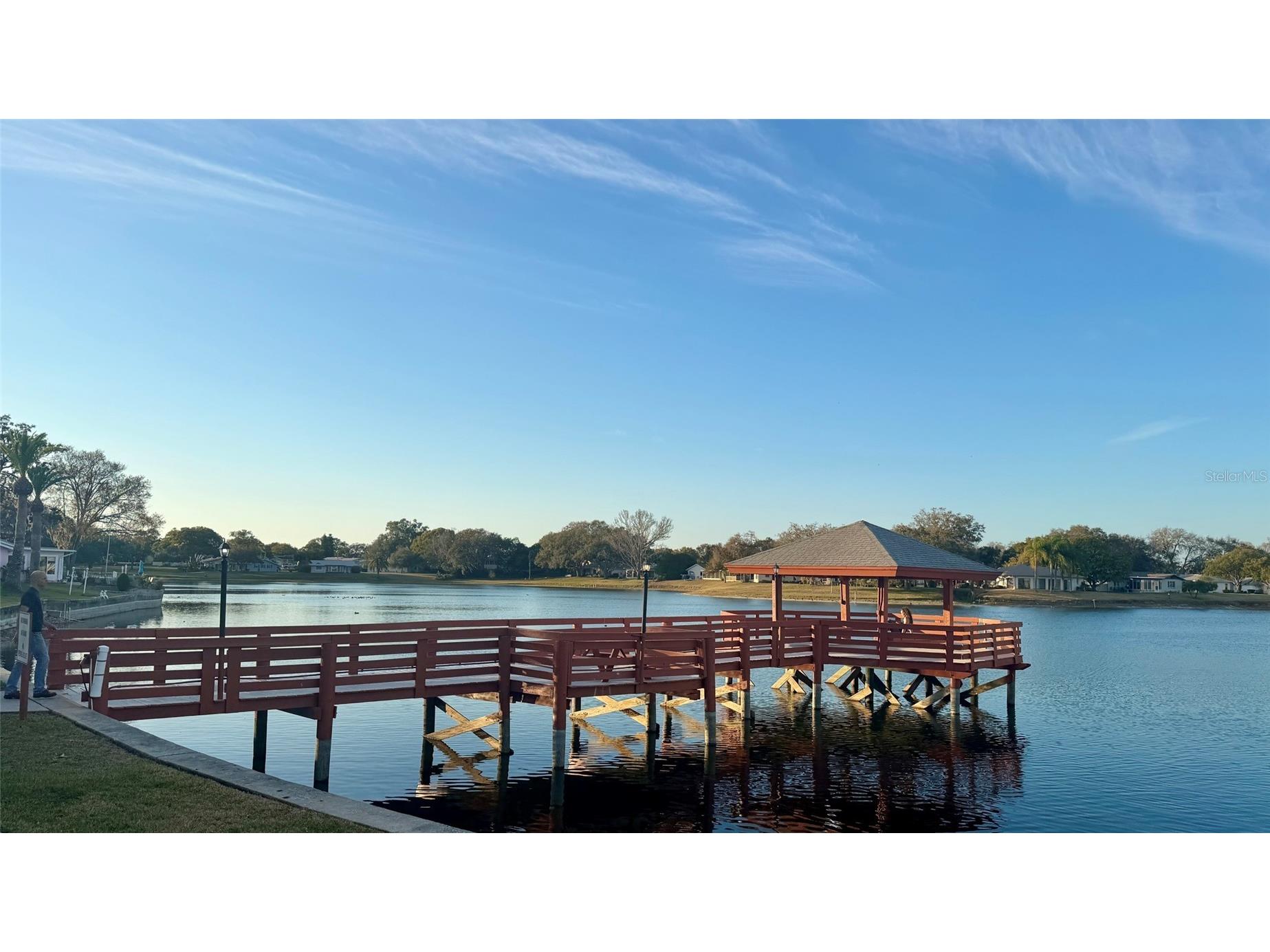 11117 Pembridge Court #2 Port Richey FL 34668 TB8478646 image35