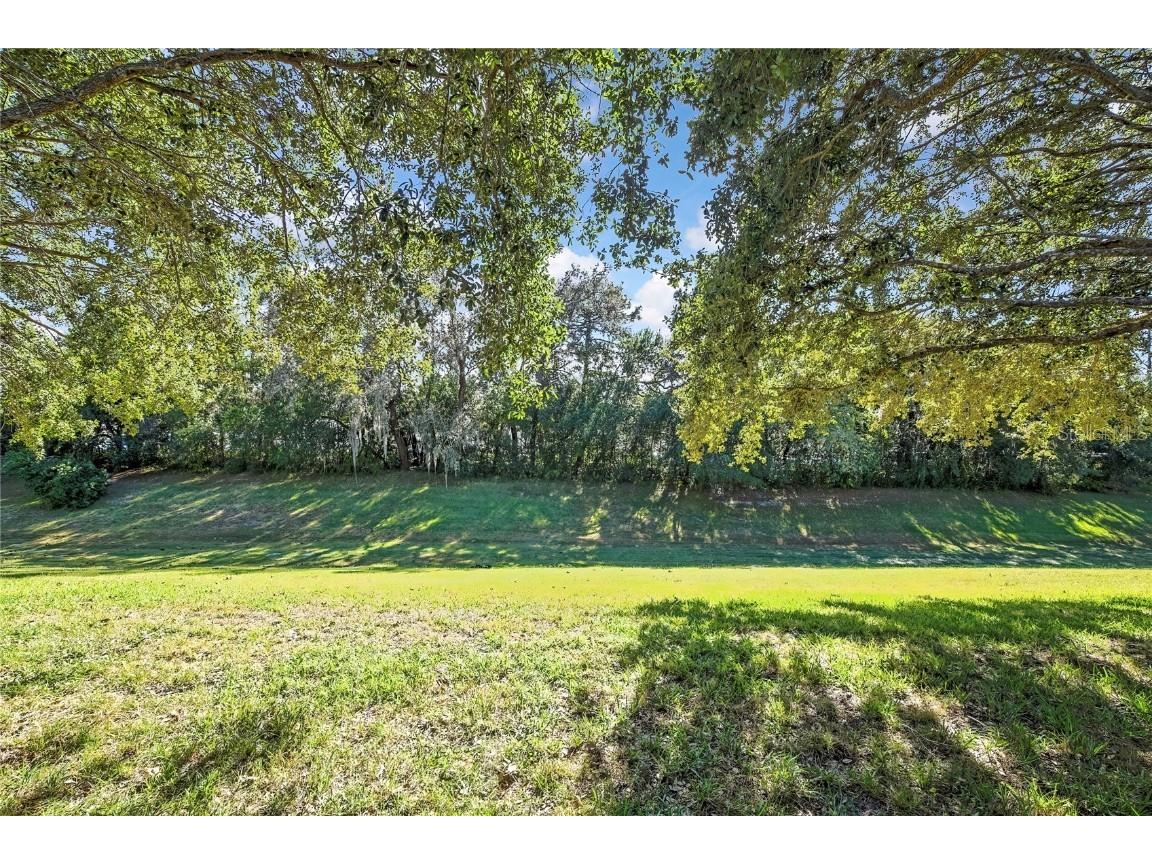 11118 Heathrow Avenue Spring Hill FL 34609 W7880485 image31