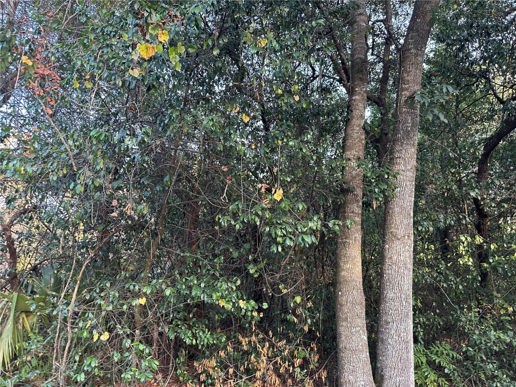 11118 Stanley Street New Port Richey FL 34654 W7859481 image1